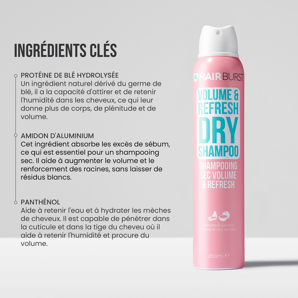 Shampooing sec Volume & Refresh